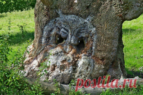 ФИЛИН.