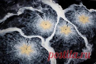 Глазами викингов С 2002 года Роберт Б. Хаас делает в основном аэросъемку, пытаясь запечатлеть самые живописные и удивительные места Земли с воздуха. «Глазами викингов» — третья книга его из коллекции. Хаас, который ра...