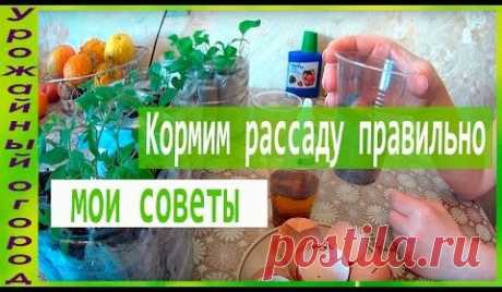 (28) Одноклассники