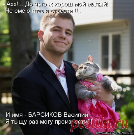 Котоматрица: Круть