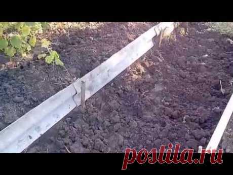Устройство и преимущество теплой грядки