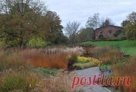 лента друзей morli