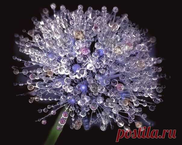 Применение модулей терапии