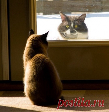 - Тук-тук.
- Кто там?
- Открывай! Зима пришла!