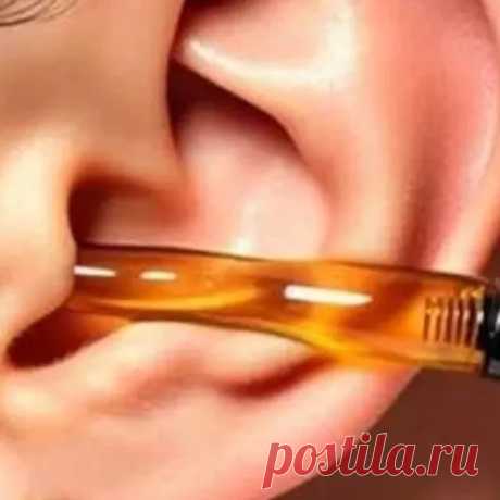Вот, что случится с теми, у кого дома растет алоэ