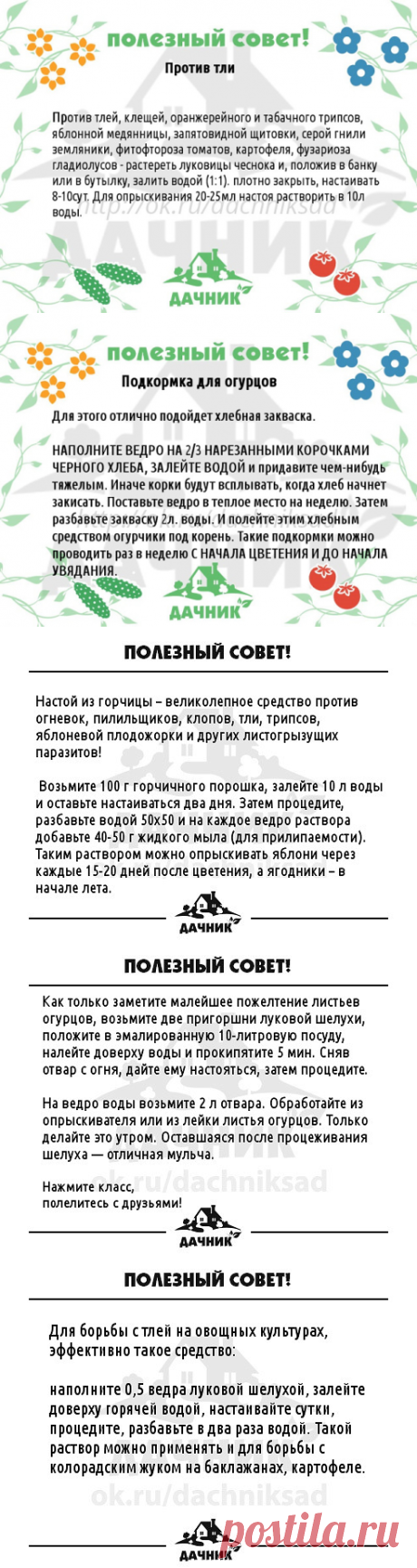 (48) Одноклассники