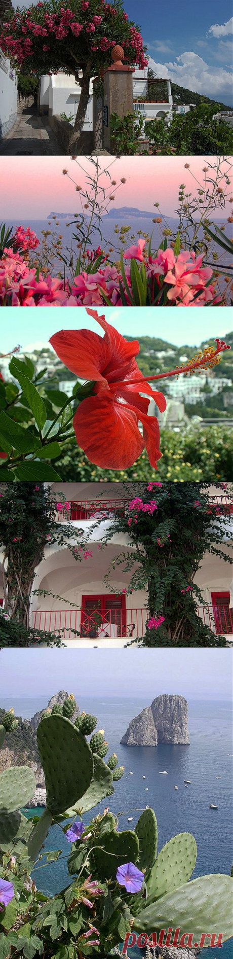 Живописный остров  (Capri), Италия | Удивительное и смешное в картинках