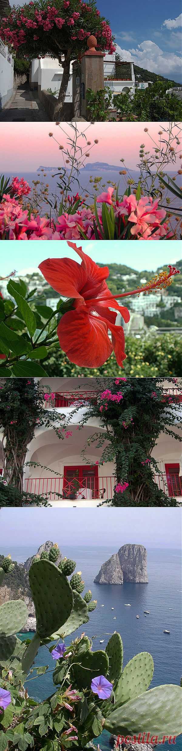 Живописный остров  (Capri), Италия | Удивительное и смешное в картинках