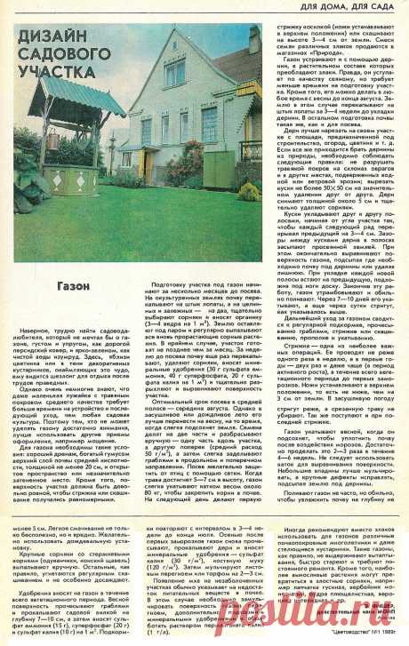 Дизайн садового участка. Газон