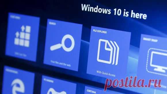 Использование гос. органами ОС Windows 10 не приведет к утечке подлежащей защите информации | Выживи сам