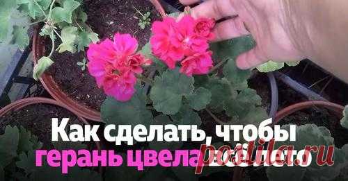 (13) Facebook