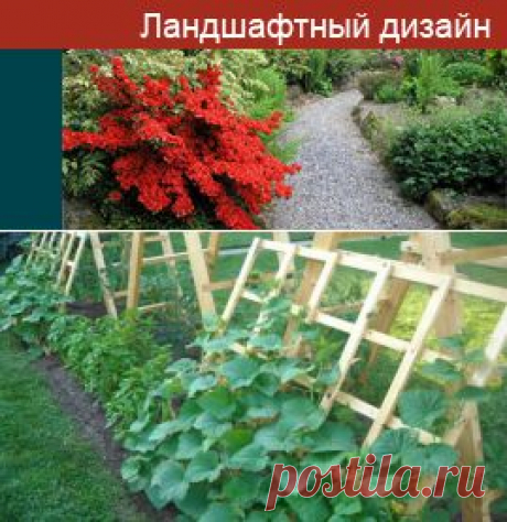 Необычные огороды и фото необычных грядок на даче своими руками