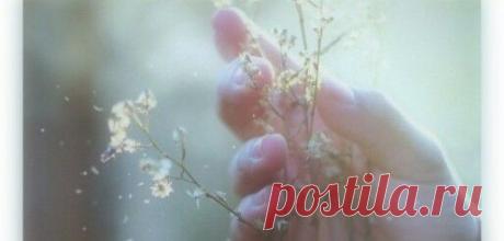 Мой Мир@Mail.Ru