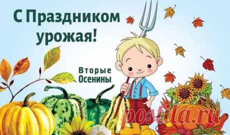 Нынче праздник урожая,
И я искренне желаю,
Закрома чтоб не пустели,
Заготовки душу грели!