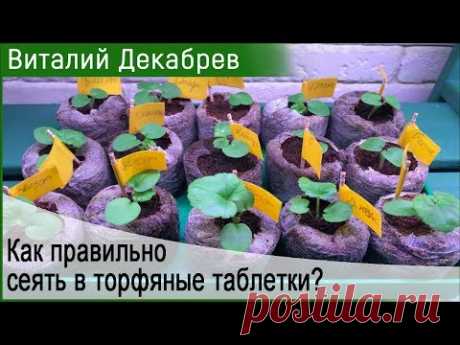 КАК ПРАВИЛЬНО СЕЯТЬ В ТОРФЯНЫЕ ТАБЛЕТКИ?