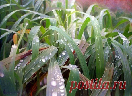 Художник Андрей Никулин | Картины