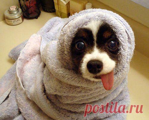 Спа перед майскими праздниками