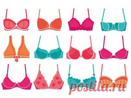 Виды бюстгальтера с фото Medch.ru — сайт для женщин о красоте, моде, здоровье и отношениях Все о здоровом организме, эффективных тренировках и правильном питании, советы по обустройству дома и сада, ведению бюджета и домашнему хозяйству, бьюти-советы.