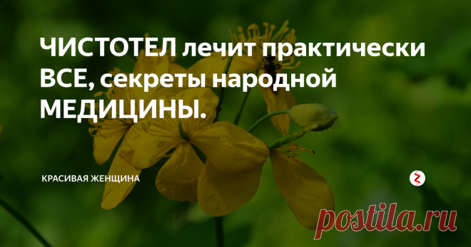 ЧИСТОТЕЛ лечит практически ВСЕ, секреты народной МЕДИЦИНЫ. фото Яндекс картинки
Здравствуйте мои дорогие читатели, я рада вас приветствовать на канале 