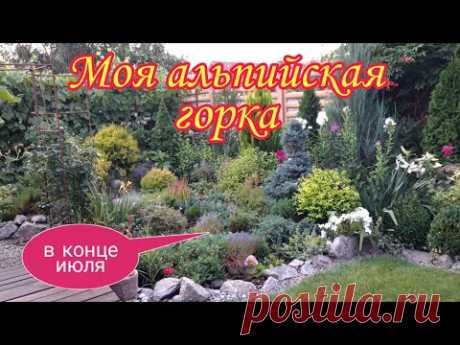 Альпийская горка в конце июля.Ландшафтный дизайн своими руками.Дача.Красивые цветники.Сад .
