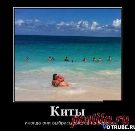 Фотоприкол: шутки у Мишутки, а у нас это класс!