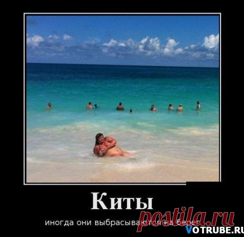 Фотоприкол: шутки у Мишутки, а у нас это класс!