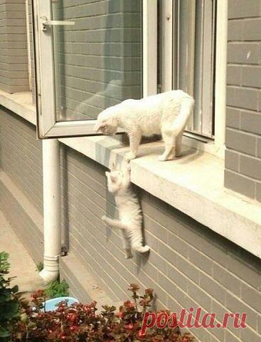 МОРЕ ПОЗИТИВА!!!
Л ړײ)