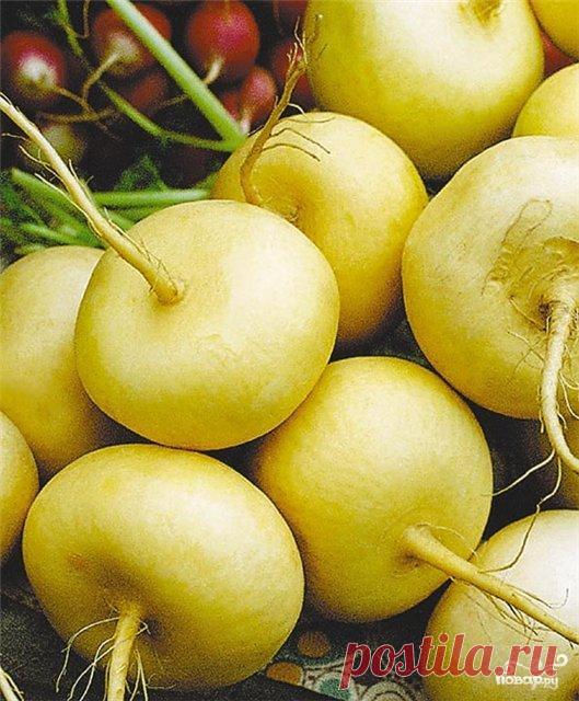 Пюре из репы - рецепт с фото на Повар.ру