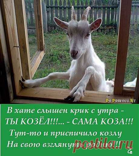 Одноклассники