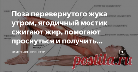 Поза перевернутого жука утром, ягодичный мостик сжигают жир, помогают проснуться и получить энергию на день. . Напомню - мне 57 лет, вес  феврале был 101.300. Сейчас 85.300.
Я не очень мобильная, больные ноги, сорванная спина, живу в селе.
Поэтому зарядку начинаю в постели, у меня жесткая постель. Нет причины на пол спускаться.Начинаю с Золотой