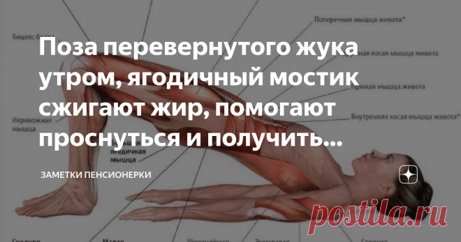 Поза перевернутого жука утром, ягодичный мостик сжигают жир, помогают проснуться и получить энергию на день. . Напомню - мне 57 лет, вес  феврале был 101.300. Сейчас 85.300.
Я не очень мобильная, больные ноги, сорванная спина, живу в селе.
Поэтому зарядку начинаю в постели, у меня жесткая постель. Нет причины на пол спускаться.Начинаю с Золотой