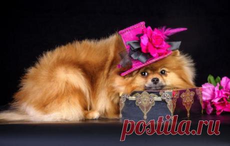 Как у вас с везением? Сможете выбрать шкатулку с золотом
тест ключ к личности тест ключ к личности В некоторых ситуациях не поможет никакое логическое мышление и сделать выбор можно только при помощи интуиции. У кого-то способности предвидения развиты лучше, у кого-то хуже. Проверить свой уровень и предрасположенность к экстрасенсорным навыкам можно в нашем тесте. Перед вами будут находится десять шкатулок. В трех из них […]
Читай дальше на сайте. Жми подробнее ➡