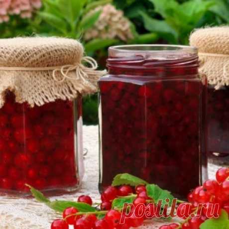 Что приготовить из смородины на зиму – простые рецепты вкусных заготовок