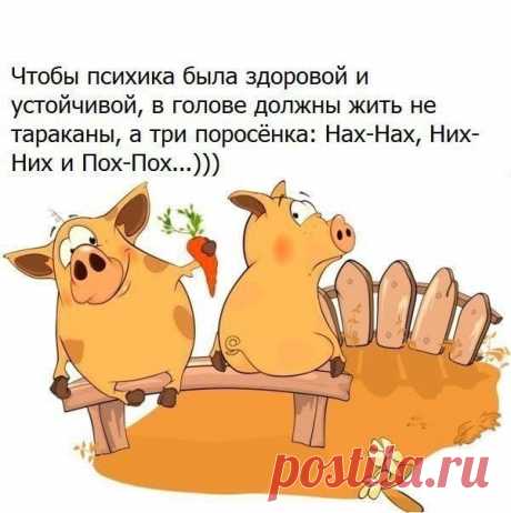 Порция отличного юмора в картинках: 20 поводов посмеяться от души