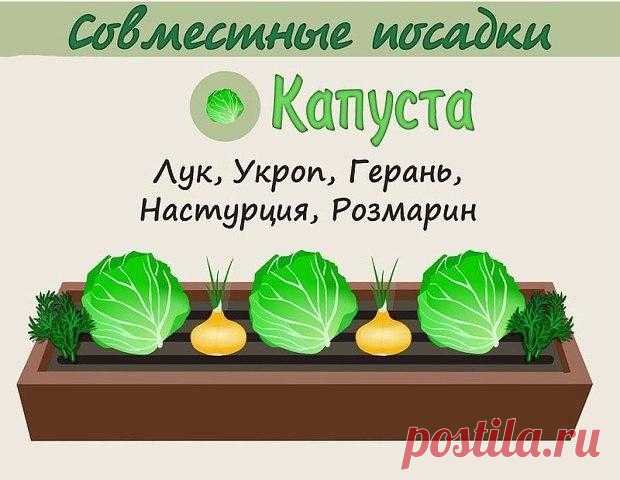 Анна Патренкова