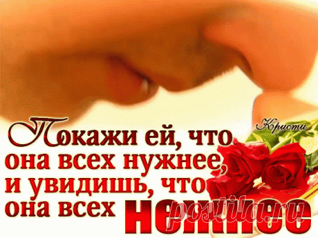 Ты с каждым днём становишься нужнее
И, от чего-то с каждым днём дороже,
Чем дальше ты, тем я к тебе нежнее,
И без тебя душа моя не может …
Мне хорошо в зависимости этой,
И счастья большего уже не надо,
Чем просыпаться рано на рассвете
И сознавать, что ты, любимый, рядом !
Простые будни сделались счастливей,
Все в мыслях о тебе бегут часы,
Я понимаю, мир такой красивый,
Лишь оттого, что у меня есть ты !
Наступит ночь, а мне совсем не спиться,
Смотрю на звёзды, что блестят во тьме,
И понимаю, с не