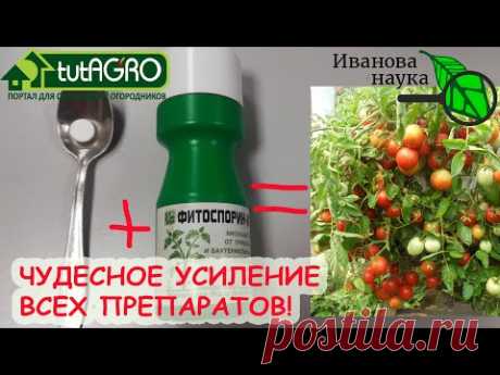 УСИЛЬТЕ ЛЮБОЙ ПРЕПАРАТ В 10 РАЗ (а то и больше)!  Научный метод!