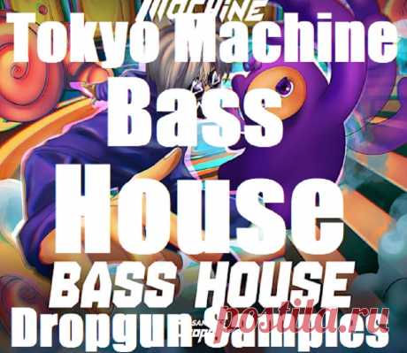 Dropgun Samples Tokyo Machine Bass House WAV Serum | 713.87 MB
Welcome to Audio Club — the home of cutting-edge electronic music creation. We’re thrilled to drop one of our most electrifying artist packs to date: Tokyo Machine Bass House — a wild, high-energy collection bursting with inspiration straight from the unique style of Tokyo Machine himself.
DOWNLOAD:
https://audioclub.store/samples/tokyo-machine-bass-house-wav-serum/