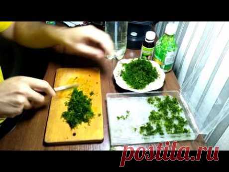 Как высаживать яванский мох Java Moss