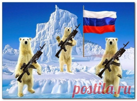 АРКТИКА-СЕВЕР-АНТАРКТИДА