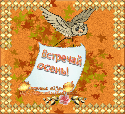 Вот и лето прошло, словно и не бывало...