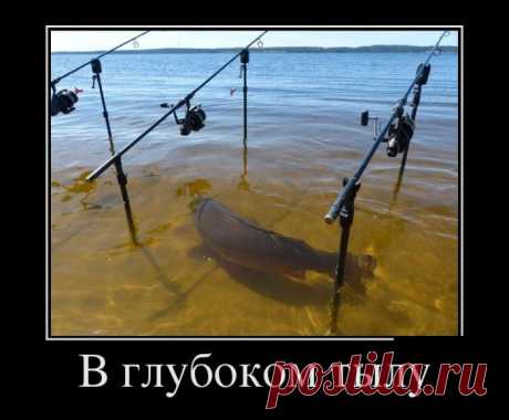 Изумительные Демотиваторы / Писец - приколы интернета