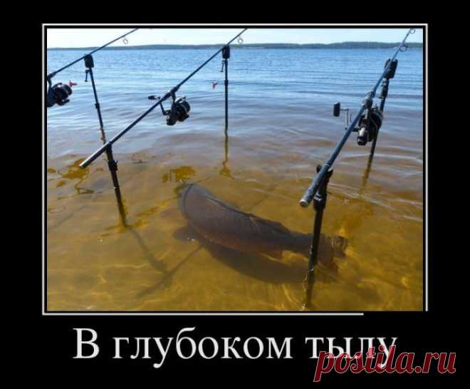 Изумительные Демотиваторы / Писец - приколы интернета