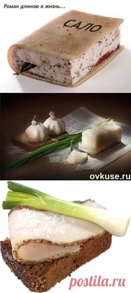 Готовим вкусно сало – рецепты приготовления в домашних условиях..  МНОГО рецептов!!!!