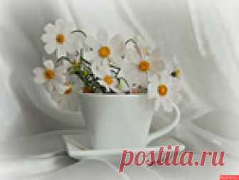 ✿ღ✿Натюрмортное✿ღ✿