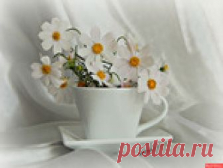 ✿ღ✿Натюрмортное✿ღ✿