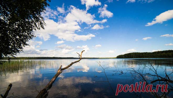 Уфологи развеяли миф о чудовище из озера Бросно в Тверской области. Чудовища в озере Бросно в Тверской области не существует, а "байка" о нем была придумана местным предпринимателем для привлечения туристов. Об этом "Газете.Ru" рассказала замкоординатора общероссийского общественного ...