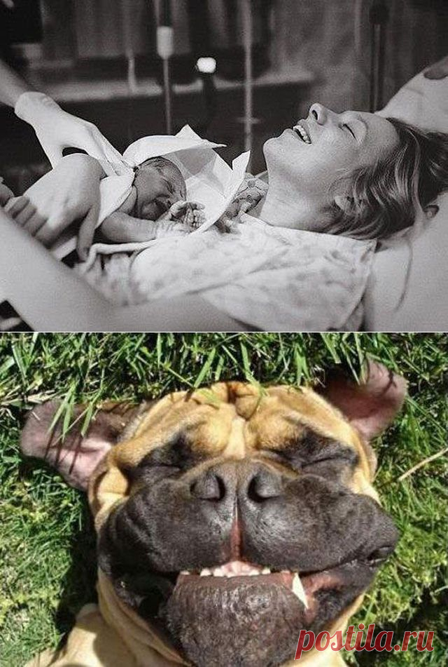 Искренние чувства / Всё самое лучшее из интернета