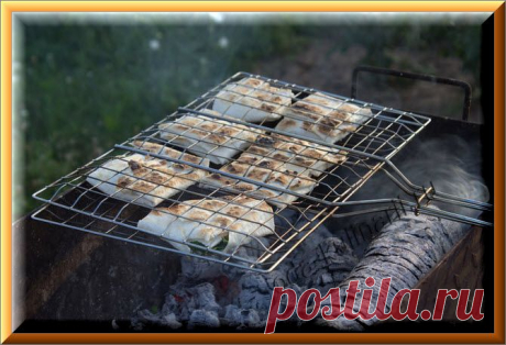 Закуска из лаваша с сыром и зеленью | Ода Кулинарии