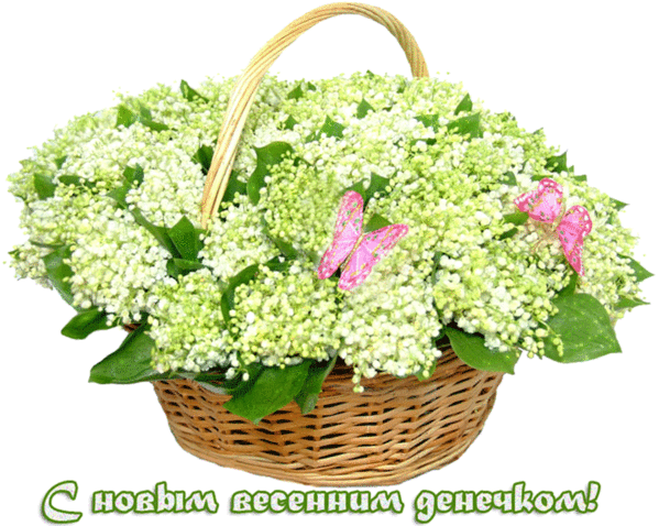 • ДЛЯ МОИХ ДРУЗЕЙ!!! | Группы Мой Мир